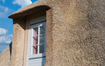 Moulzie thatch roof disadvantages
